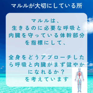 呼吸と内臓の大切さ